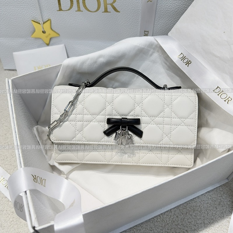 디올마이디올미니백  20260409-173719-002루.jpg