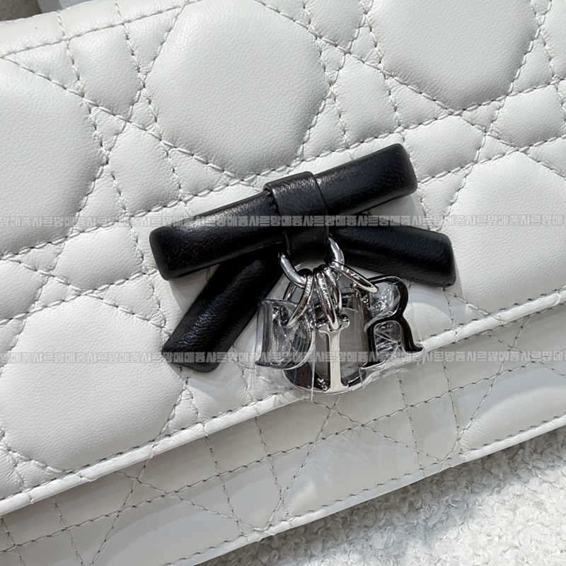 디올마이디올미니백  20260409-173719-006루.jpg