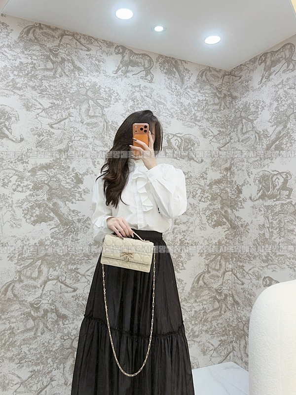 디올마이디올미니백  20260409-174339-015루.jpg