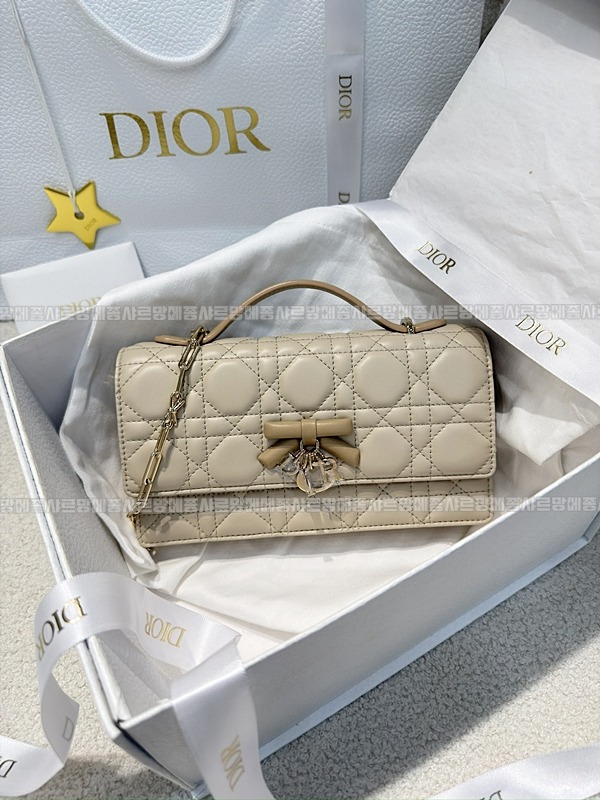 디올마이디올미니백  20260409-174336-001루.jpg