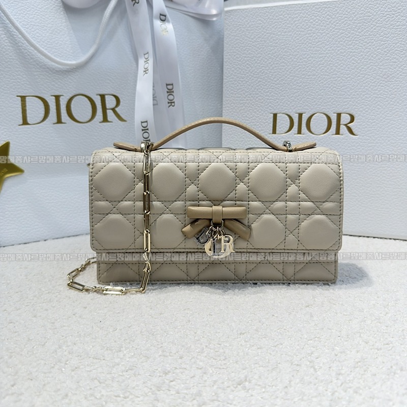 디올마이디올미니백  20260409-174336-003루.jpg