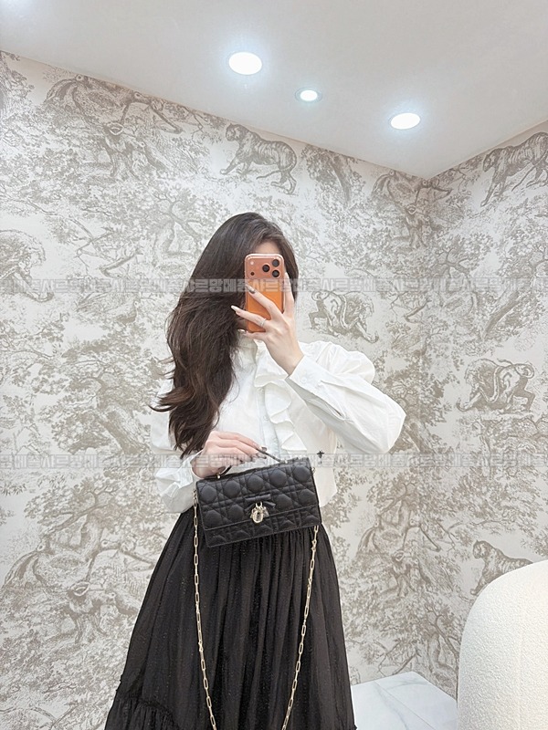 디올마이디올미니백  20260409-174547-016루.jpg