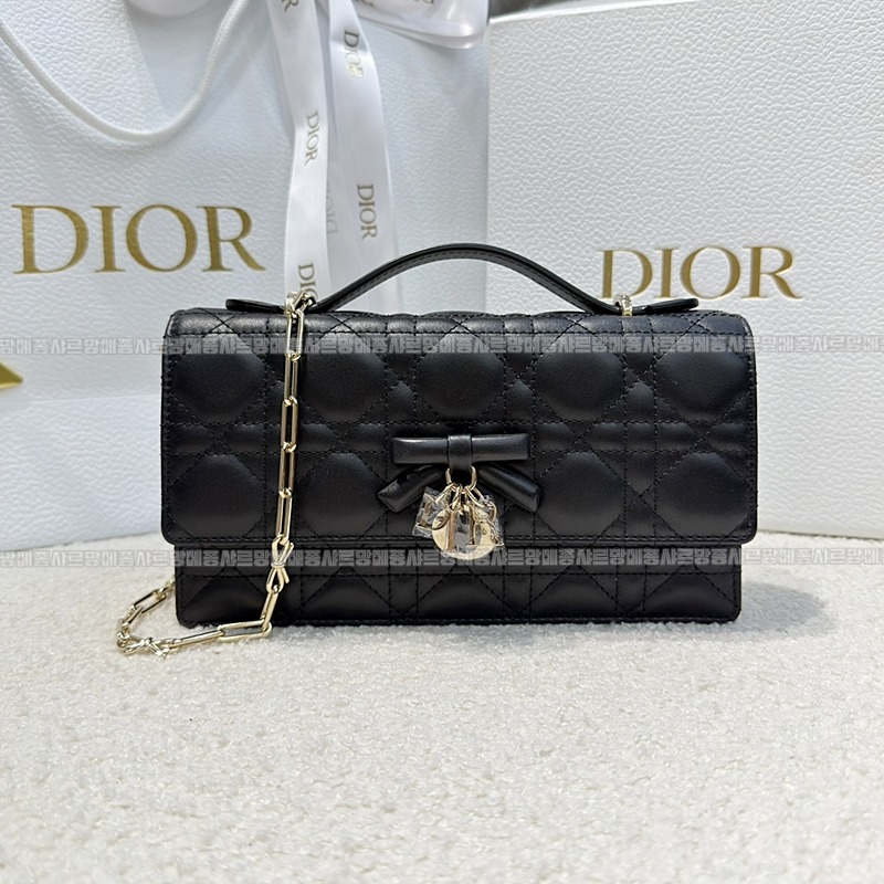 디올마이디올미니백  20260409-174545-001루.jpg