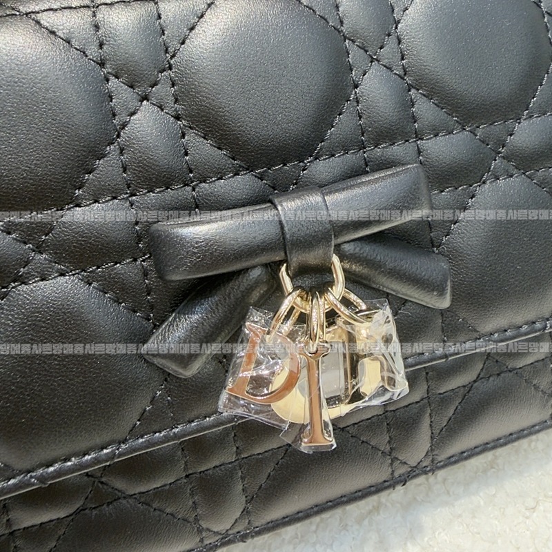 디올마이디올미니백  20260409-174546-006루.jpg