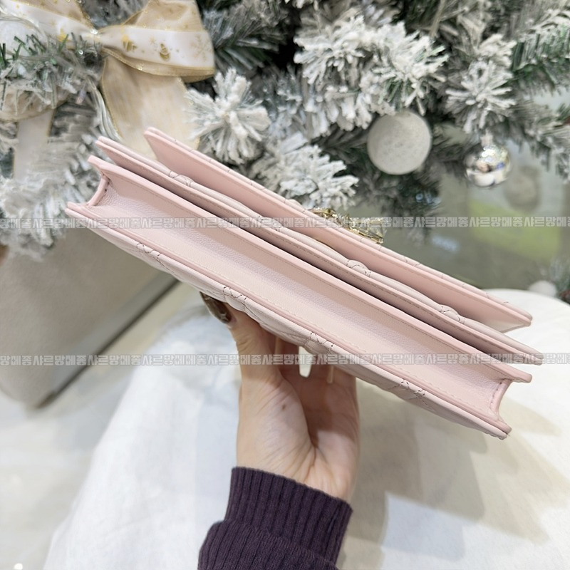 디올마이디올미니백  20260409-174804-004루.jpg