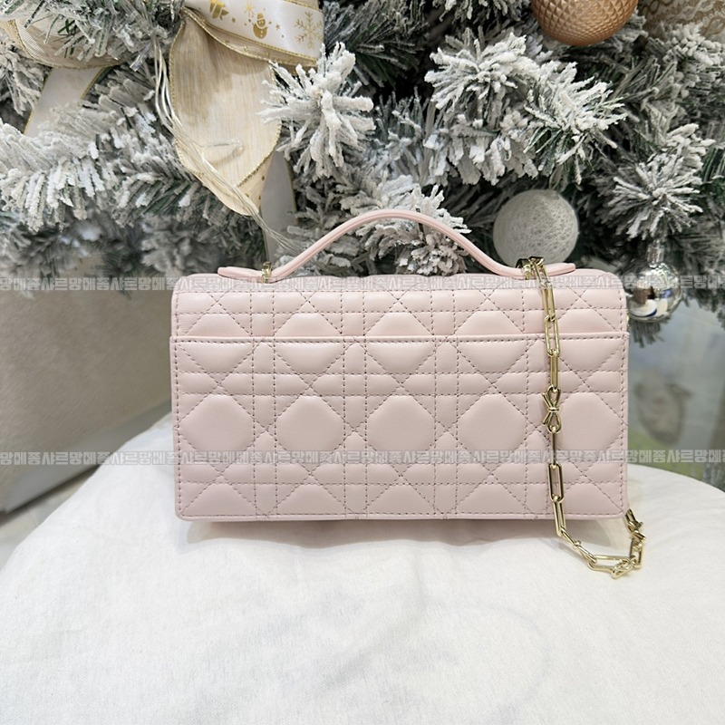 디올마이디올미니백  20260409-174803-002루.jpg