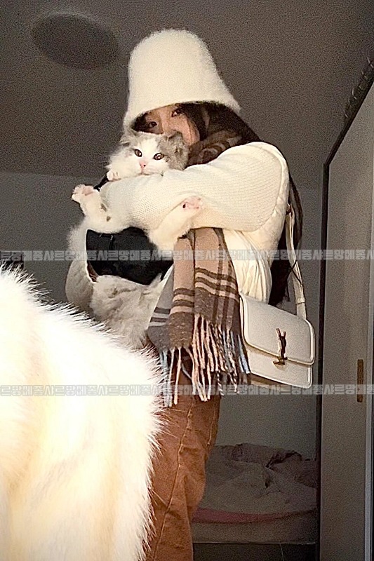 생로랑솔페리노사첼백  20260413-114814-025루.jpg