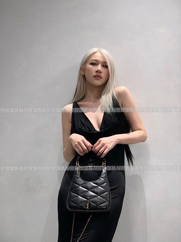 생로랑사드호보백  20260416-131922-027.jpg