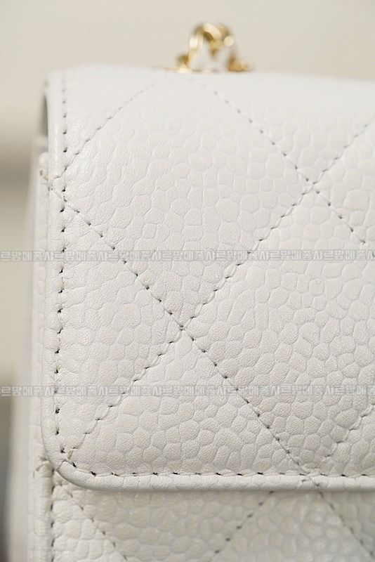 샤넬26C클래식체인미니백  20260419,113709,012.jpg