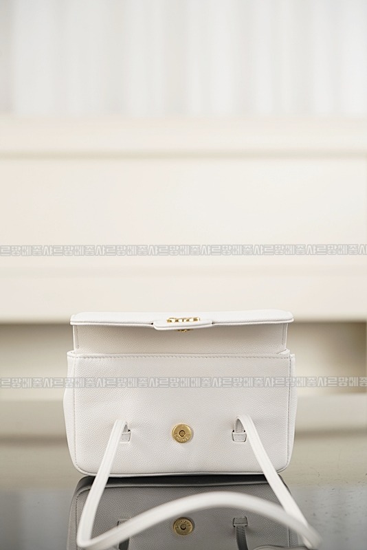 샤넬26P프레티코코스몰프랩백  20260419,124342,008.jpg