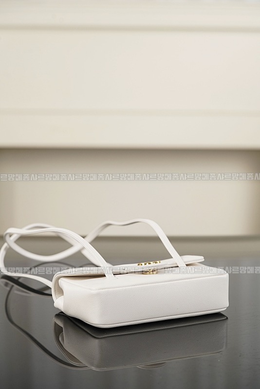 샤넬26P프레티코코스몰프랩백  20260419,124343,010.jpg