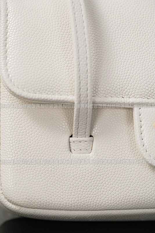 샤넬26P프레티코코스몰프랩백  20260419,124343,012.jpg