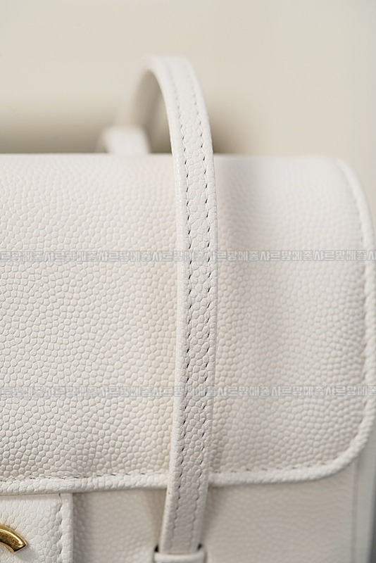 샤넬26P프레티코코스몰프랩백  20260419,124343,016.jpg