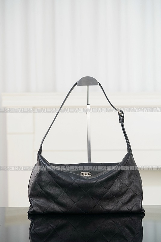 샤넬맥시호보백  20260420,105325,001.jpg