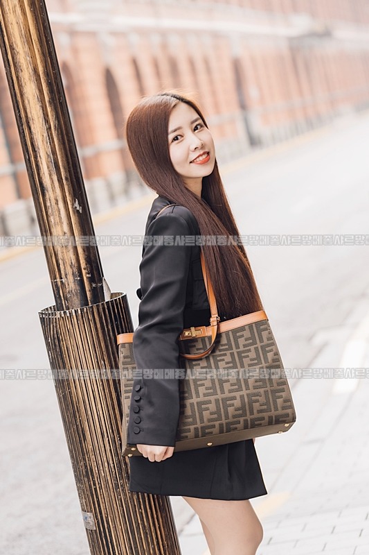 펜디피카부X토트백  20260505 160748 011.jpg