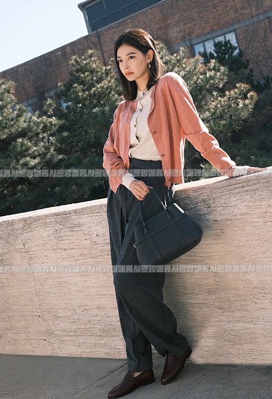 로로피아나기에라쇼퍼백  20260601 163918 027.jpg