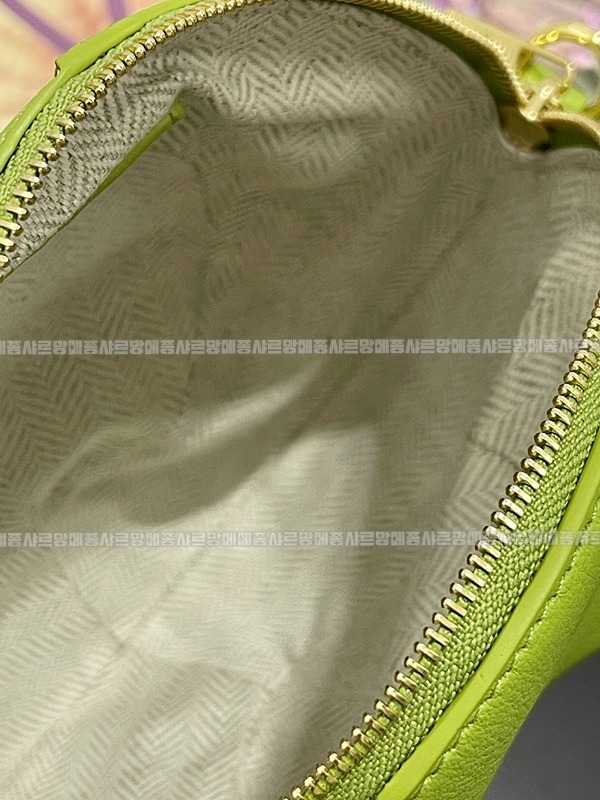 로에베스네이크레더숄더백  20260623 132244 017.jpg