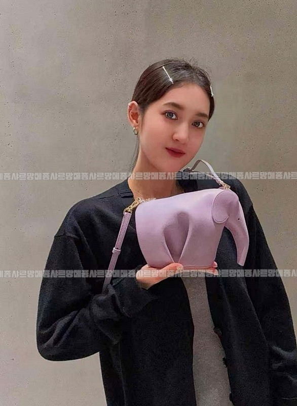 로에베엘리펀트백20260628 111133 003.jpg