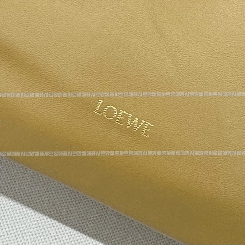로에베스퀴즈백  20260716 134824 063.jpg