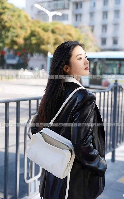 로에베아마조나180백스몰  20260717 160642 087.jpg