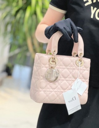 레이디 디올 미니 백