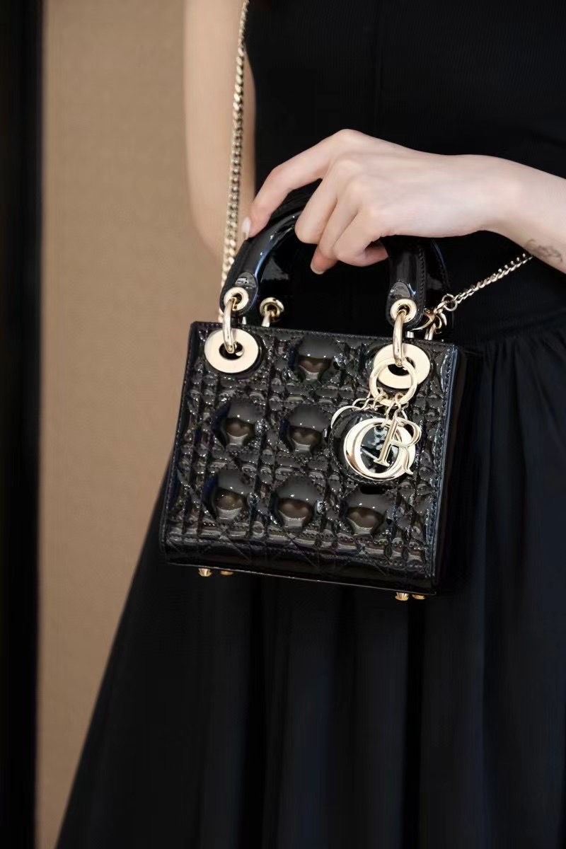 레이디 디올 미니 백