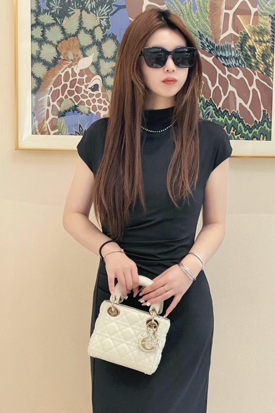 레이디 디올 미니 백