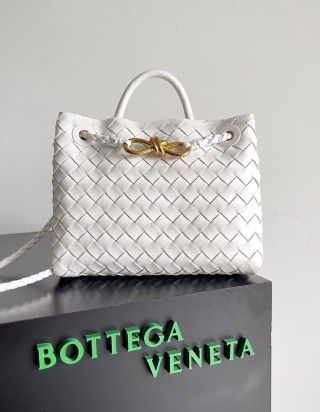 보테가 베네타 안디아모 스몰