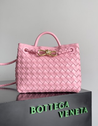 보테가 베네타 안디아모 스몰