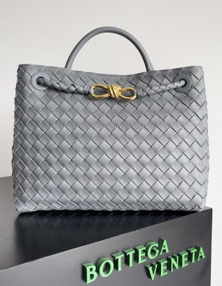 보테가 베네타 안디아모 미디움