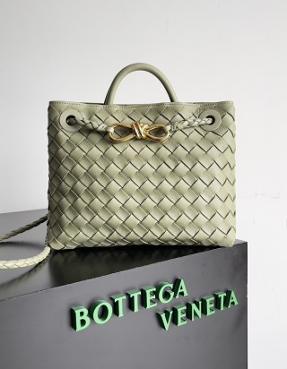 보테가 베네타 안디아모 스몰