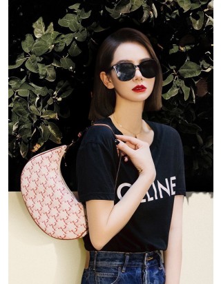 셀린느 트리옹프 아바 백