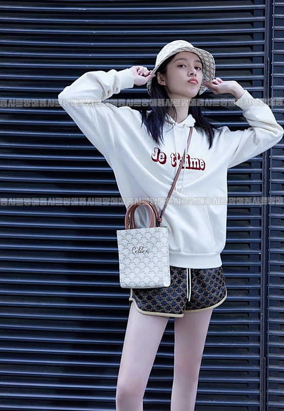 셀린느 미니 카바스 버티컬 트리옴페 백