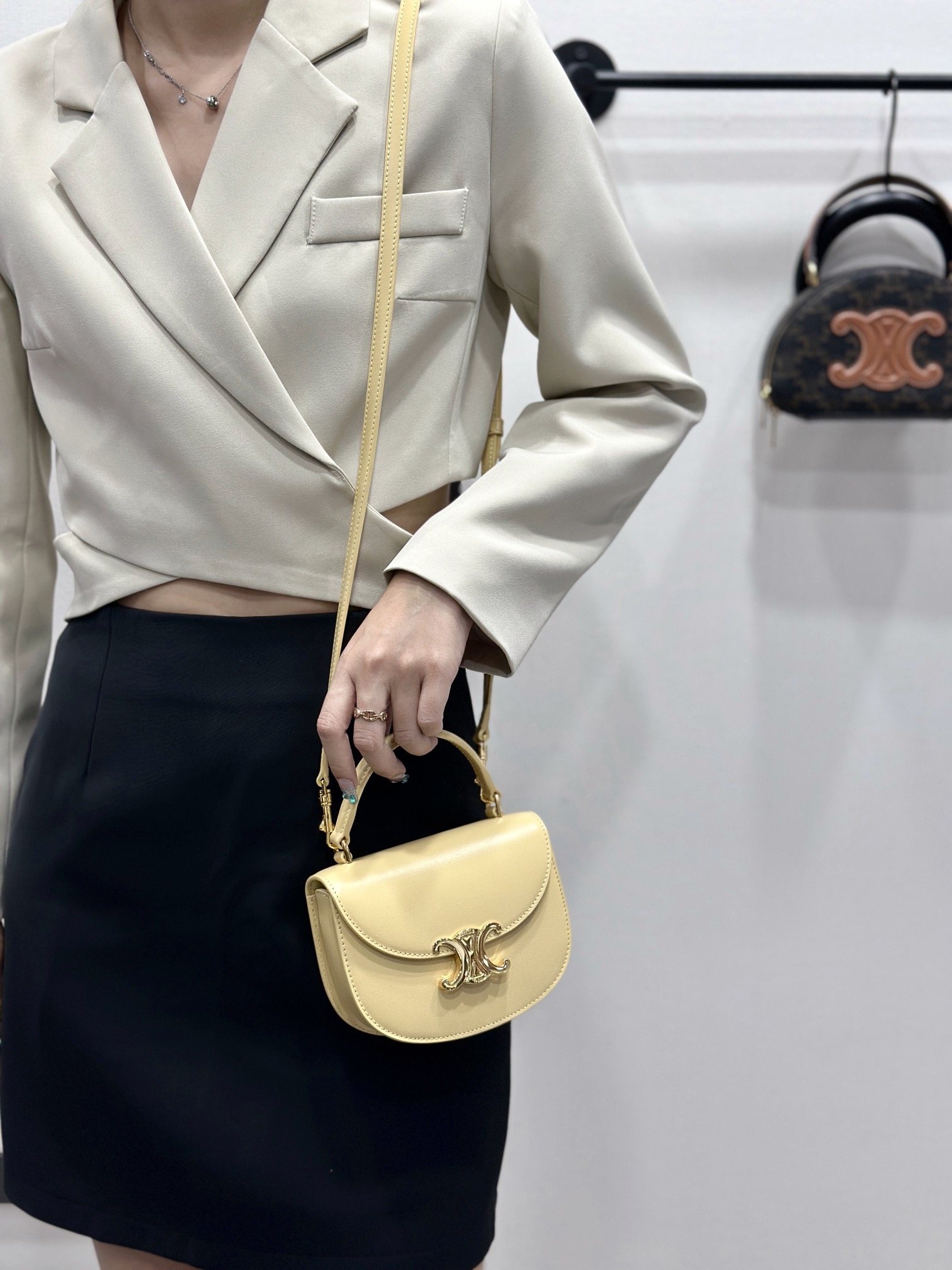 셀린느 클레아 베사체 백 미니