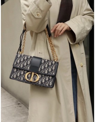 디올 30 몽테인 박스 백 미디움