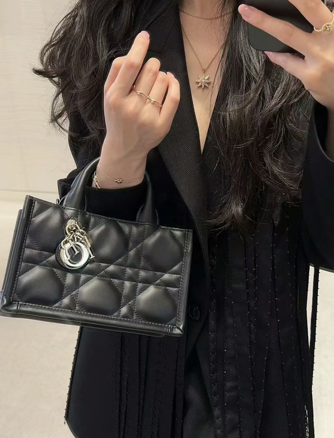 디올 북 토트 미니 백