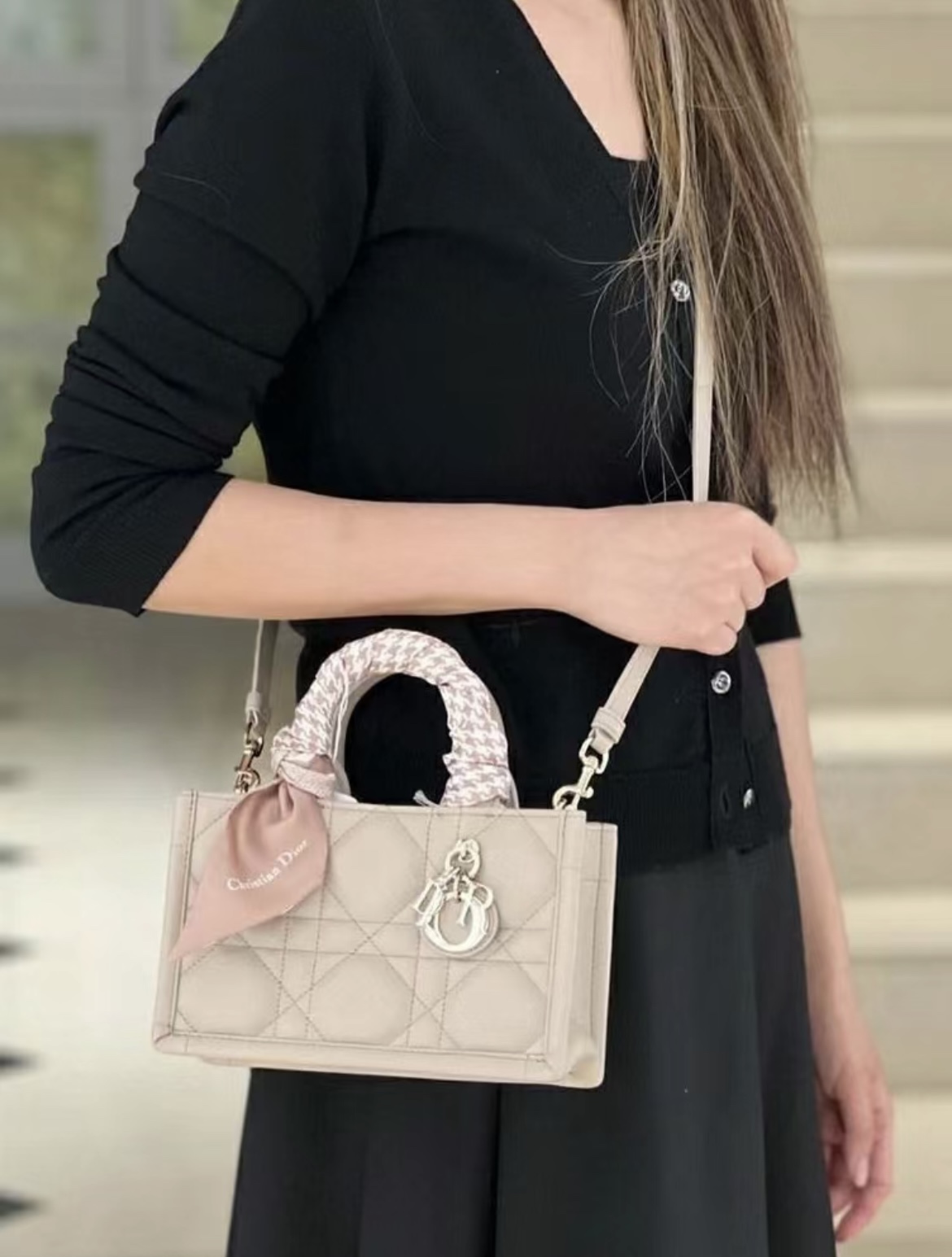 디올 북 토트 미니 백