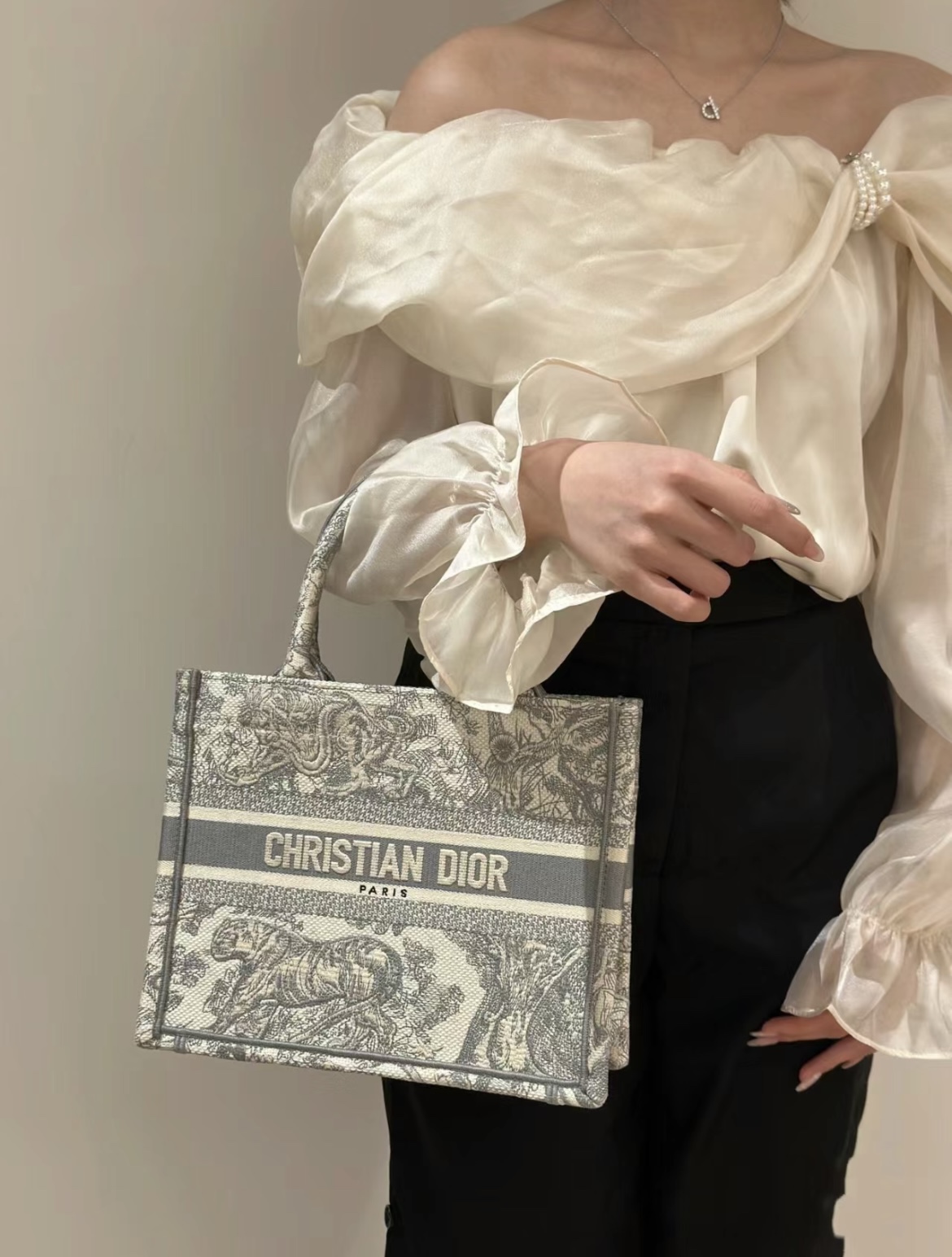 디올 북 토트 백 스몰