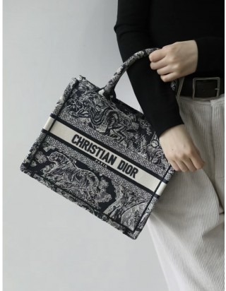 디올 북 토트 백 스몰