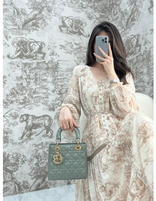 디올 레이디 스몰 백