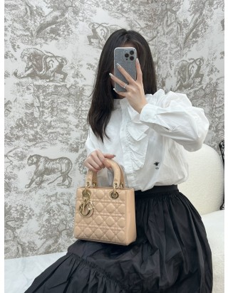 디올 레이디 스몰 백