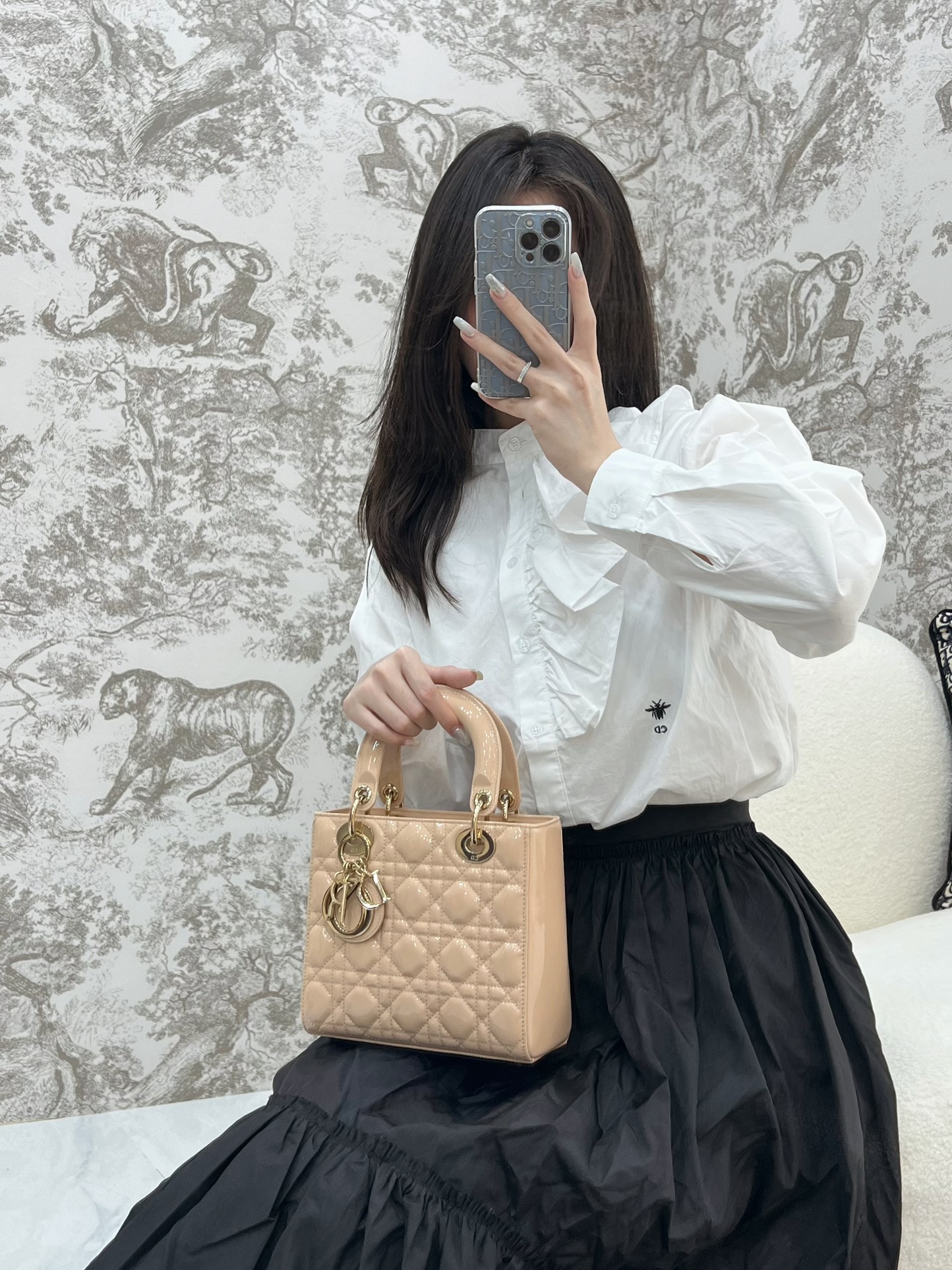 디올 레이디 스몰 백