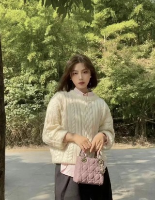 디올 레이디 미니 백