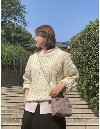 디올 레이디 미니 백