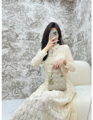 디올 레이디 미니 백