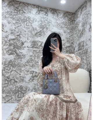 디올 레이디 미니 백