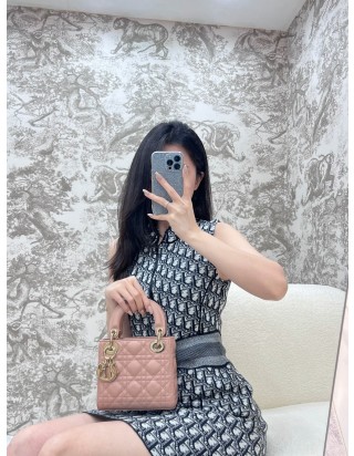 디올 레이디 미니 백