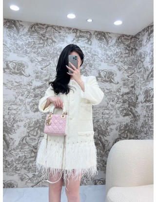 디올 레이디 미니 백