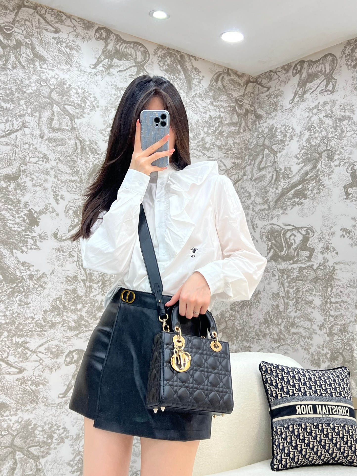 디올 레이디 스몰 백