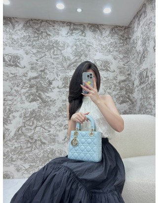 디올 레이디 스몰 백